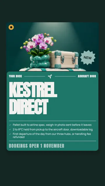 Boarding pass drop: a single post template from the Template Foundry, on a sample brand