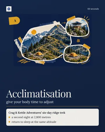 Field Guide Window Collage: a single post template from the Template Foundry, on a sample brand